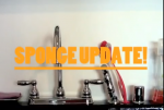VIDEO SPONGE UPDATE! DON'T MISS IT!