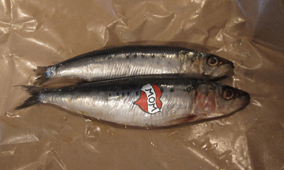 YAY! Sardines?