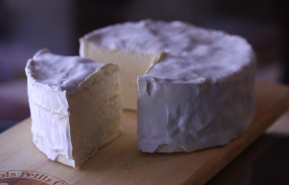 BRILLAT SAVARIN, NOT THE MAN.